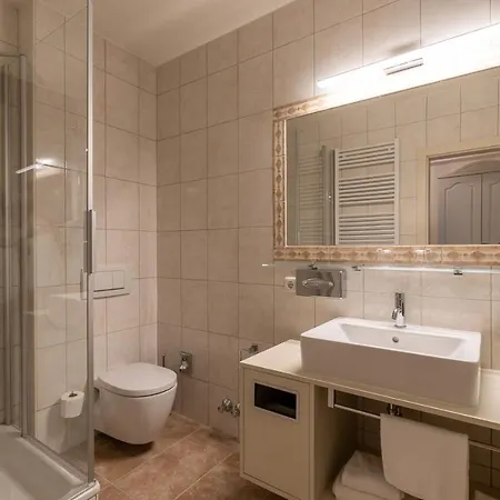 Amedia Plaza Wels, Trademark Collection By Wyndham 4*