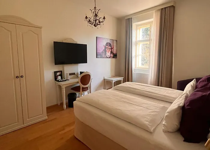 Dormero Paho Wels Hotel 4*