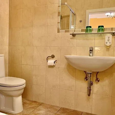 Amedia Plaza Wels, Trademark Collection By Wyndham 4*