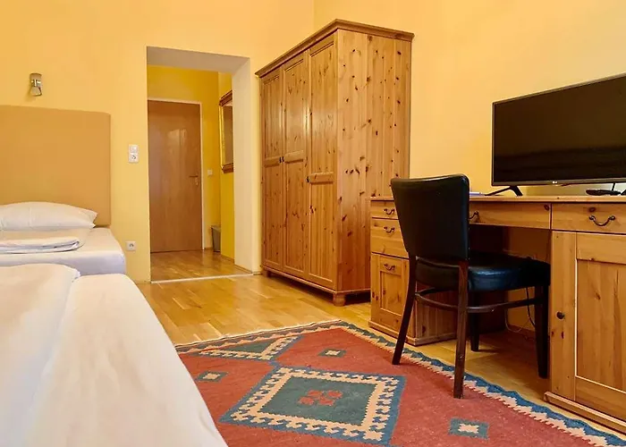 Dormero Paho Wels 4* Βελς